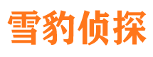 高陵外遇取证